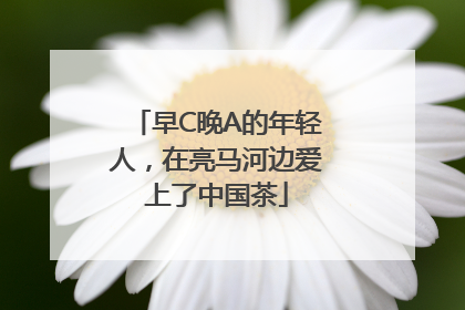 早C晚A的年轻人，在亮马河边爱上了中国茶