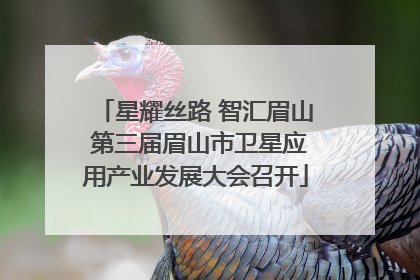 星耀丝路 智汇眉山 第三届眉山市卫星应用产业发展大会召开