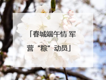 春城端午情 军营“粽”动员