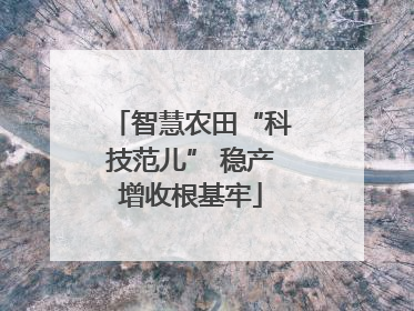 智慧农田“科技范儿” 稳产增收根基牢