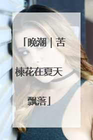 晚潮｜苦楝花在夏天飘落
