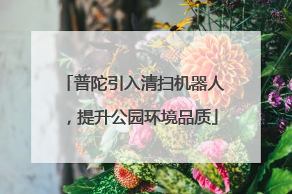 普陀引入清扫机器人，提升公园环境品质