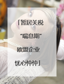 暂居关税“喘息期” 欧盟企业忧心忡忡