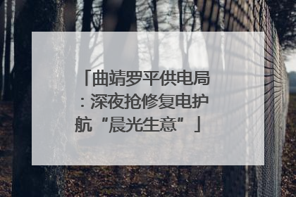 曲靖罗平供电局：深夜抢修复电护航“晨光生意”