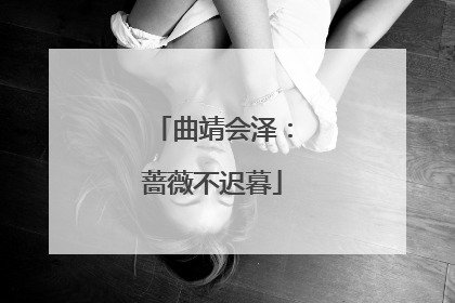 曲靖会泽：蔷薇不迟暮