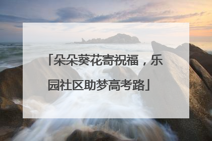 朵朵葵花寄祝福，乐园社区助梦高考路