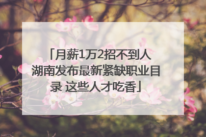 月薪1万2招不到人 湖南发布最新紧缺职业目录 这些人才吃香