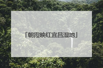 朝霞映红宜昌湿地