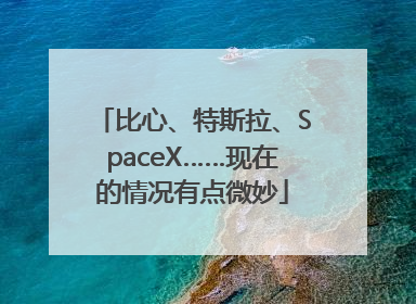 比心、特斯拉、SpaceX……现在的情况有点微妙