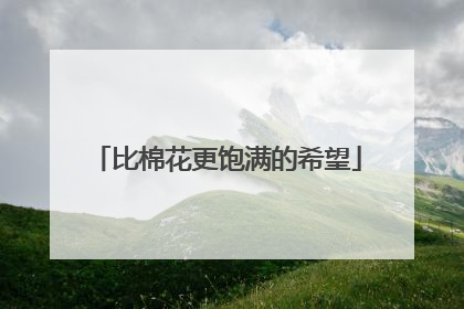比棉花更饱满的希望