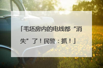 毛坯房内的电线都“消失”了！民警：抓！