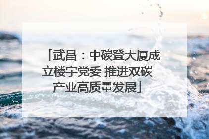 武昌：中碳登大厦成立楼宇党委 推进双碳产业高质量发展
