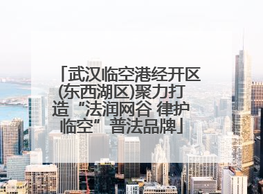 武汉临空港经开区(东西湖区)聚力打造“法润网谷 律护临空”普法品牌