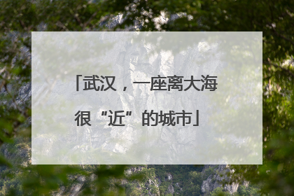 武汉，一座离大海很“近”的城市