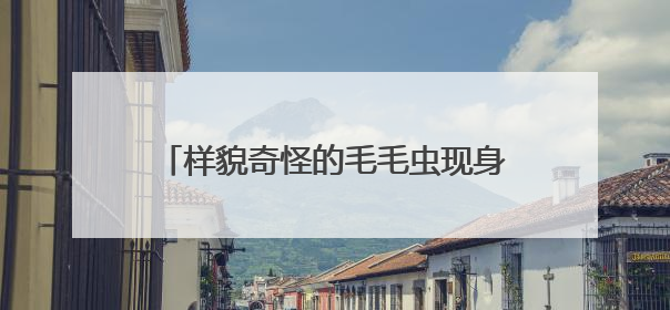 样貌奇怪的毛毛虫现身厦门公园步道，它们是啥？专业人士提醒→