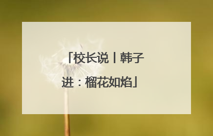 校长说丨韩子进：榴花如焰