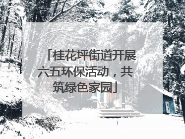桂花坪街道开展六五环保活动，共筑绿色家园
