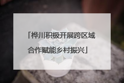 桦川积极开展跨区域合作赋能乡村振兴