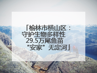 榆林市横山区：守护生物多样性 29.5万尾鱼苗“安家”无定河