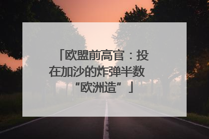 欧盟前高官：投在加沙的炸弹半数“欧洲造”