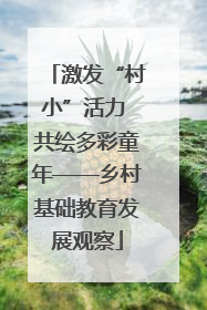 激发“村小”活力 共绘多彩童年——乡村基础教育发展观察