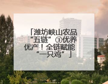 潍坊峡山农品“五链”③优养优产！全链赋能“一只鸡”