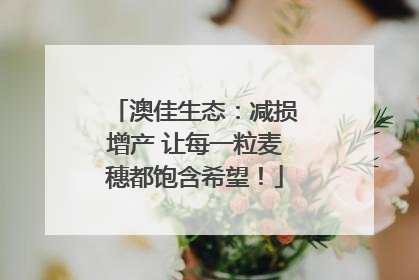澳佳生态：减损增产 让每一粒麦穗都饱含希望！