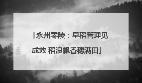 永州零陵：早稻管理见成效 稻浪飘香穗满田