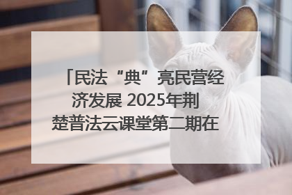 民法“典”亮民营经济发展 2025年荆楚普法云课堂第二期在武汉客厅开讲