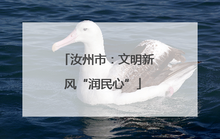汝州市：文明新风“润民心”