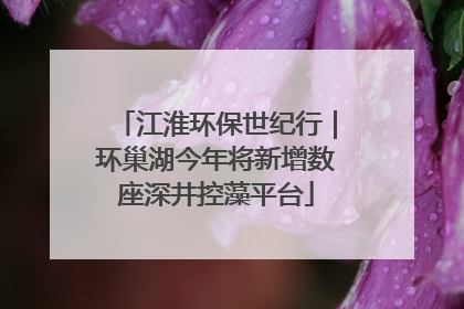 江淮环保世纪行｜环巢湖今年将新增数座深井控藻平台