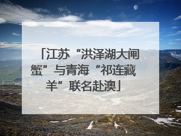 江苏“洪泽湖大闸蟹”与青海“祁连藏羊”联名赴澳