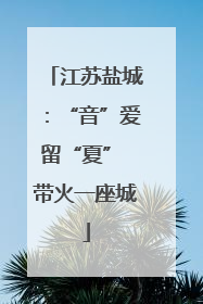 江苏盐城：“音”爱留“夏” 带火一座城