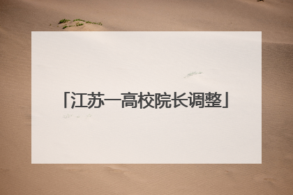 江苏一高校院长调整