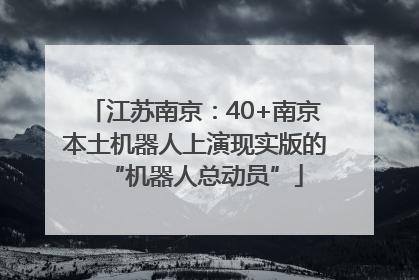 江苏南京：40+南京本土机器人上演现实版的“机器人总动员”
