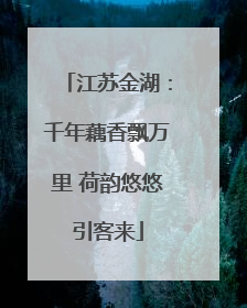 江苏金湖：千年藕香飘万里 荷韵悠悠引客来