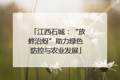 江西石城：“放蜂治蚜”助力绿色防控与农业发展