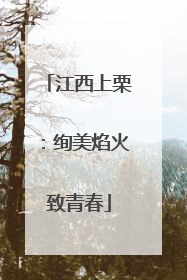 江西上栗：绚美焰火致青春