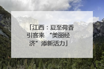 江西：夏至荷香引客来 “美丽经济”添新活力