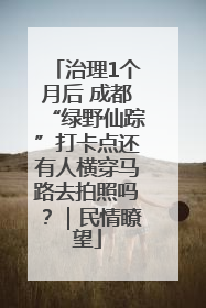 治理1个月后 成都“绿野仙踪”打卡点还有人横穿马路去拍照吗？｜民情瞭望