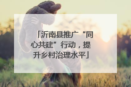 沂南县推广“同心共建”行动，提升乡村治理水平