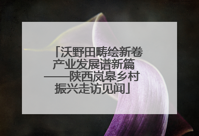 沃野田畴绘新卷 产业发展谱新篇——陕西岚皋乡村振兴走访见闻