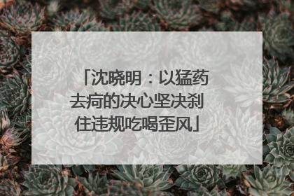 沈晓明：以猛药去疴的决心坚决刹住违规吃喝歪风
