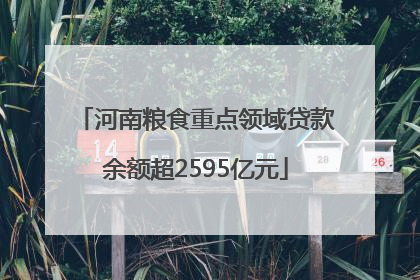 河南粮食重点领域贷款余额超2595亿元