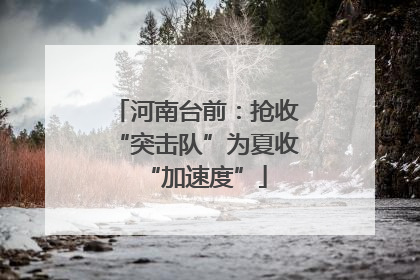 河南台前：抢收“突击队”为夏收“加速度”