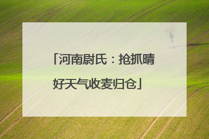河南尉氏：抢抓晴好天气收麦归仓