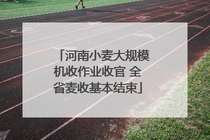 河南小麦大规模机收作业收官 全省麦收基本结束