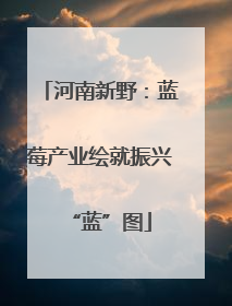 河南新野：蓝莓产业绘就振兴“蓝”图
