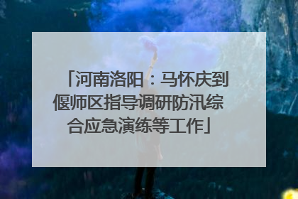 河南洛阳：马怀庆到偃师区指导调研防汛综合应急演练等工作