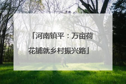 河南镇平：万亩荷花铺就乡村振兴路